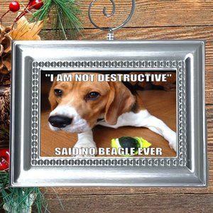 Beagle Puppy Dog Funny Christmas Tree‎ Ornament